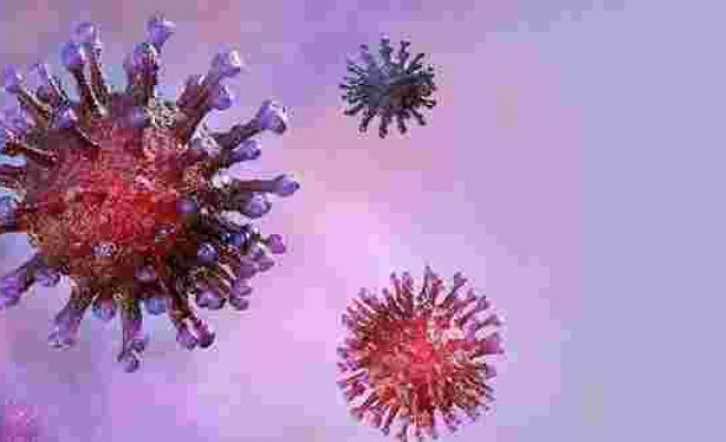 Bilim Kurulu Üyesi Çelik: Virüs 27 güne kadar vücutta kalabilir