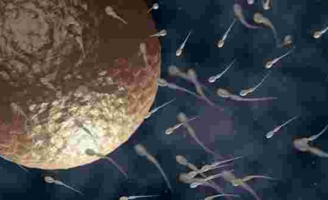 Bilimsel araştırma: Kilo vermek sperm sayısını iki katına çıkarabilir