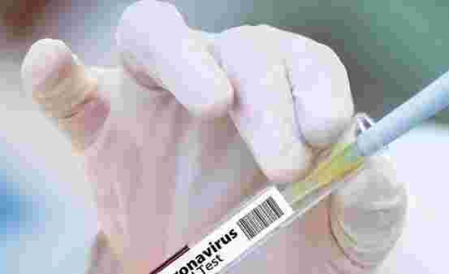BioNTech ve Pfizer’in Geliştirdiği Kovid-19 Aşısının Fiyatı Belli Oldu
