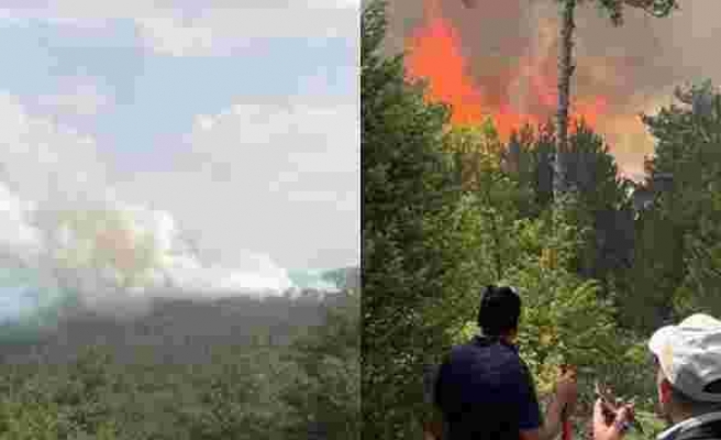 Bolu'da Orman Yangını: Tankerlerle Söndürülmeye Çalışılıyor