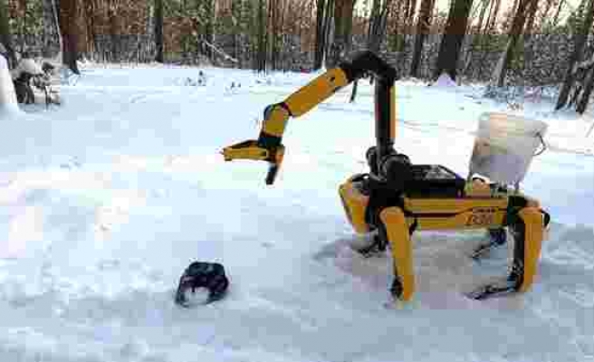 Boston Dynamics'in Robot Köpeği Spot Bu Defa Toprak Kazıp Fidan Dikti