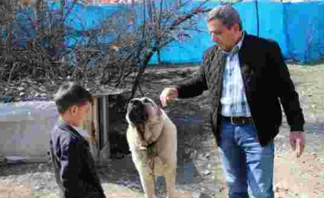 Böyle Bir Şey Olabilir mi? Erzurum'da Bir Vatandaş Köpeğinin Dile Gelip 'Benim Adım Ejder' Dediğini İddia Etti