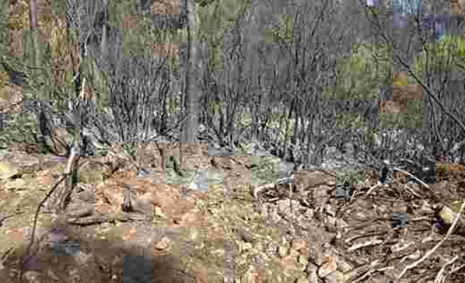 Burdur’da orman yangını 4 saatte kısmen kontrol altına alındı