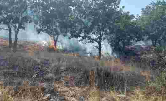 Çanakkale'de Orman Yangını: 10 Hektar Alan Zarar Gördü