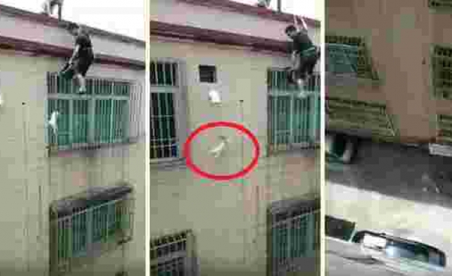 Çatıdan Sarkarak Kurtarmaya Çalıştıkları Kedi Metrelerce Yükseklikten Atlayıp Yoluna Devam Etti