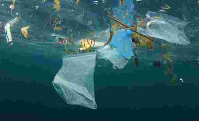 Çevre Kirliliğine Karşı Yeni Adım: AB Tek Kullanımlık Plastik Ürünleri Yasaklıyor