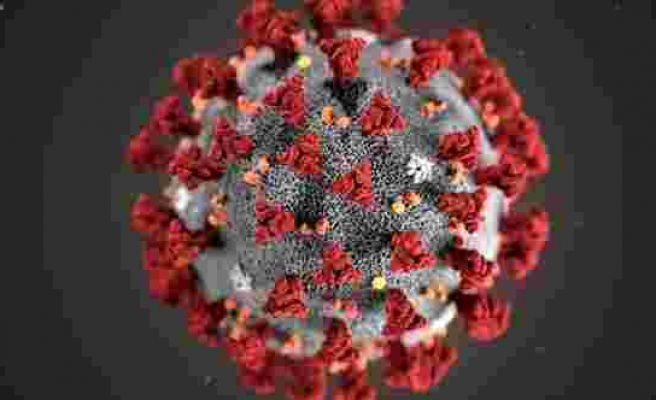 Corona virüsü, SARS’tan 10 kat daha fazla bulaşıcı