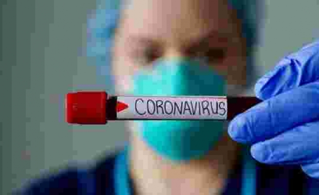 Corona virüsüne karşı bağışıklık yıllarca devam edebilir