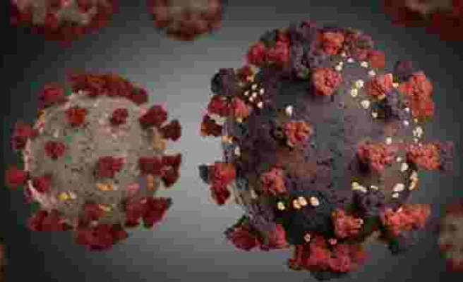Corona virüsünün yeni varyantı bulundu: Okulda B.1.640 tespit edildi