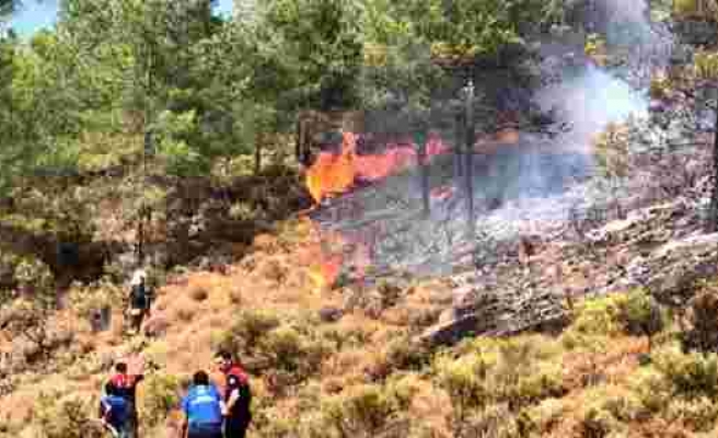 Dalaman ve Milas'ın Ardından: Muğla'da Üçüncü Orman Yangını Fethiye'de Çıktı, Alevler Kontrol Altına Alındı