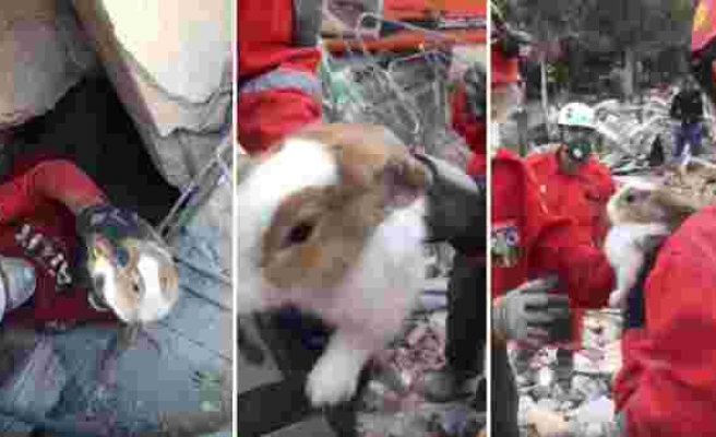 Deprem Enkazında Canla Başla Çalışan Akut Ekipleri Bir Enkazdan Tavşan Kurtardılar