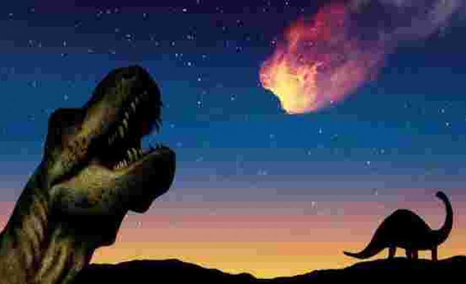 Dinozorları öldüren meteor değilmiş