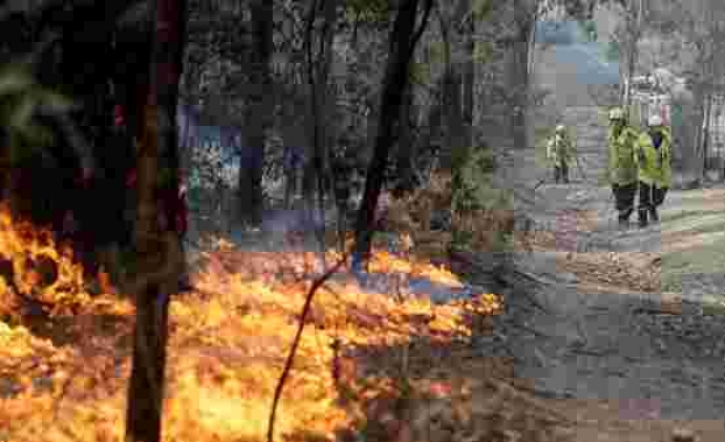 Dört Aydır Söndürülemeyen Avustralya Yangınları Neden Kaynaklanıyor?