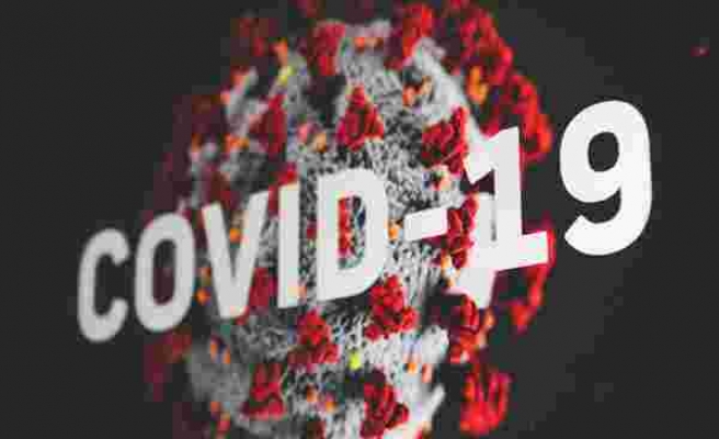 DSÖ'den Korkutan Açıklama: Kovid-19 En Büyük Salgın Değil, Daha Şiddetlisine Karşı Hazırlıklı Olmalıyız