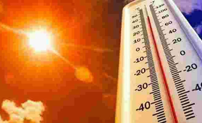 DSÖ: Sıcak havalar nedeniyle 15 bin kişi hayatını kaybetti