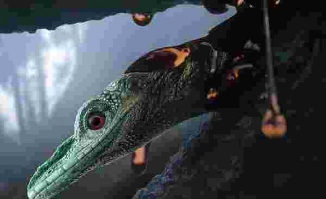 Dünyanın En Küçük Dinozorunun Sırrı Açığa Çıktı: Aslında Kertenkeleymiş