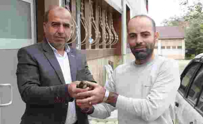 Elazığ’da vatandaşın bulduğu ebabil kuşu, koruma altına alındı