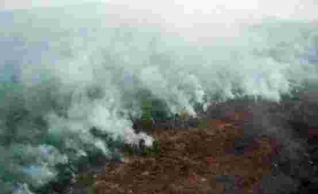 Endonezya'da yangın: Seferler iptal edildi