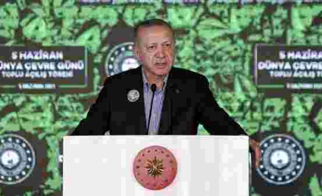Erdoğan: 'İBB'de Görevi Devraldığımızda İstanbul'da Ağaç Yoktu'