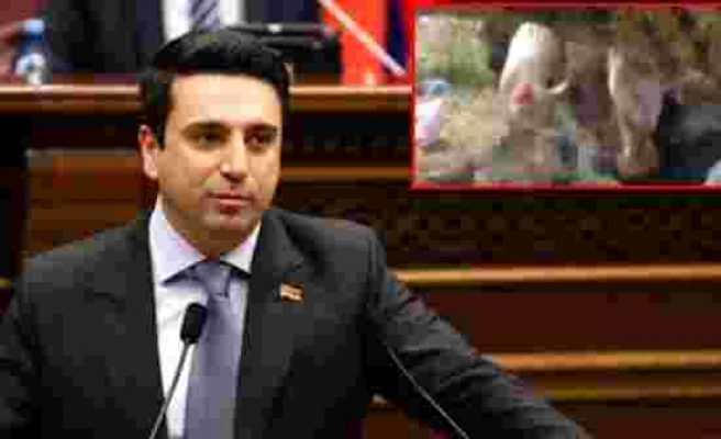 Ermeni siyasetçiden alçak paylaşım! Azerbaycanlı şehit askerlerin naaşını domuzların önüne attılar