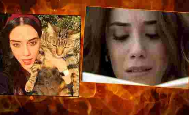 Evi yanan Cansu Dere içeride kalan kedileri için gözyaşı döktü!