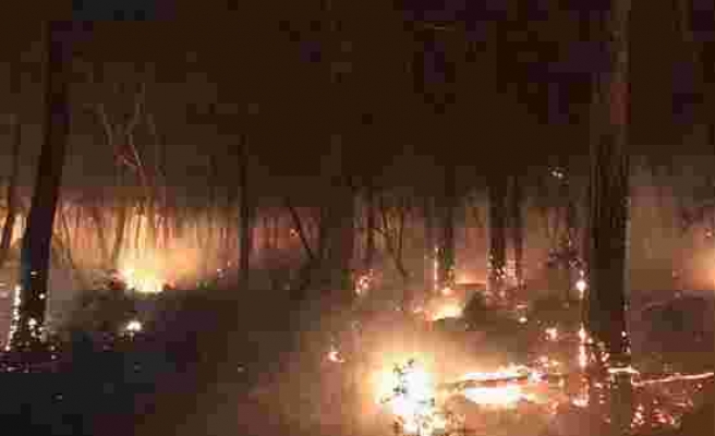 Evler Tahliye Edildi: Muğla'nın Dalaman İlçesindeki Orman Yangını Saatlerdir Sürüyor