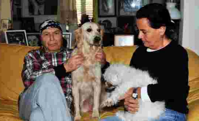 Fatma Girik’in köpeği Nazlı’ya otomobil çarptı, hayatını kaybetti