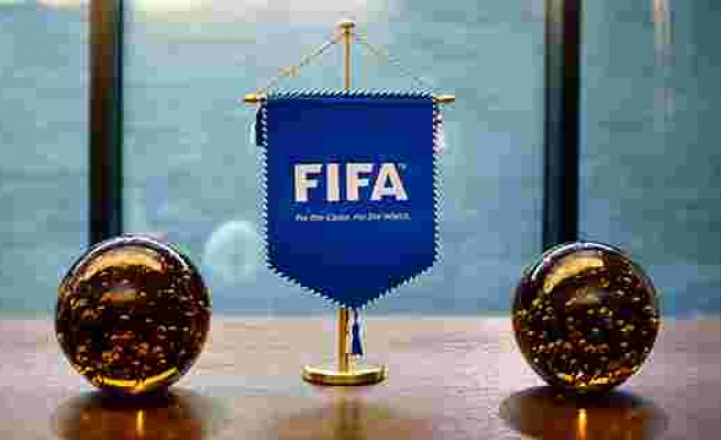 FIFA Sağlık Komitesi Başkanı Michel D'Hooghe: 'Eylül ayına kadar futbol oynanmamalı'
