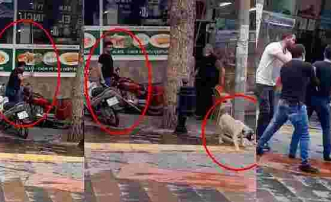 Fırça Sopasıyla Köpeği Dövmüş, Adli Kontrolle Özgürlük Bırakılmıştı: 4 Bin Lira Para Cezasına Çarptırıldı
