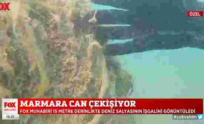 FOX Haber, Marmara Denizi'ndeki Deniz Salyasına Dalış Gerçekleştirdi