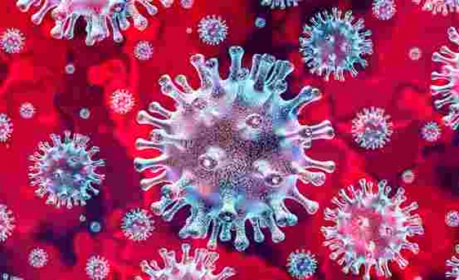Fransa'da Koronavirüs Nedeniyle Bir Türk Yaşamını Yitirdi