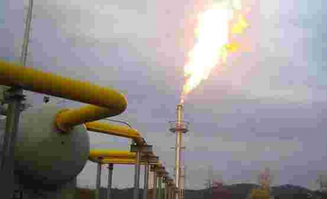 Gaz ithalatçısı VNG, Alman hükümetinden yardım istiyor