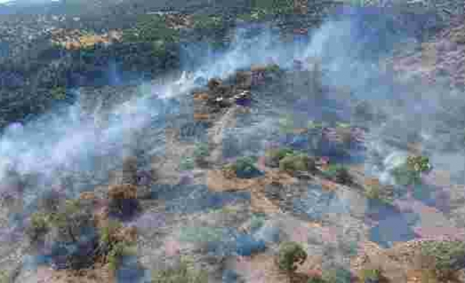 Gaziantep'te orman yangını