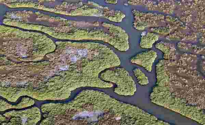 Gediz Deltası UNESCO Yolunda: 'Bu Doğa Harikasına Sahip Çıkacağız'