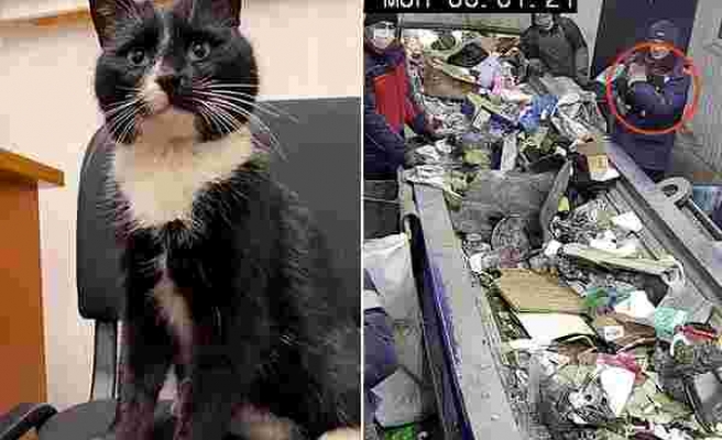 Geri Dönüşüm Merkezinde Atıkların Öğütme Makinesine Gittiği Sırada Çöplerin İçinden Bir Kedi Son Anda Kurtarıldı