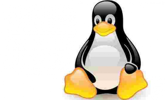 Google'dan Linux'a sert eleştiri