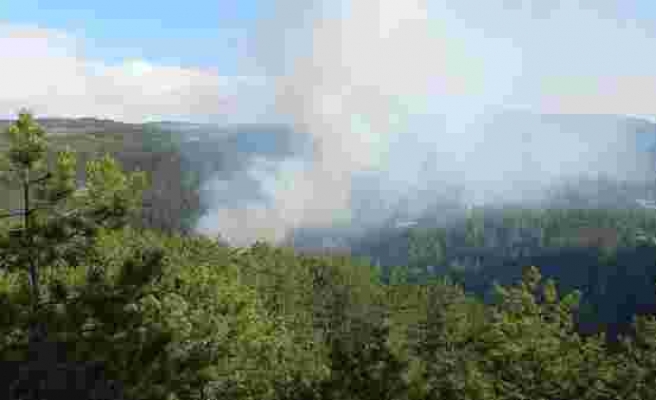 Göynük'te orman yangını! 1 hektar alan zarar gördü