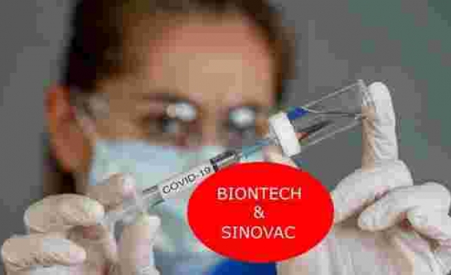 Hangi aşı etkili? Biontech mi, Sinovac mı?