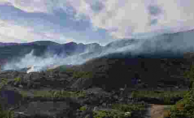 Hatay ve Kahramanmaraş'ın Ardından: Trabzon'daki Orman Yangınları Kontrol Altına Alındı