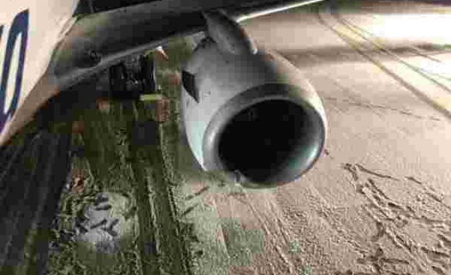 Havacılık Tarihinde Bir İlk: Uçak İniş Sırasında Bir Boz Ayıya Çarptı
