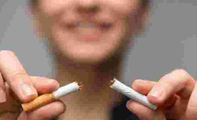 Her yıl 3 milyon kişi doğrudan sigaradan ölüyor