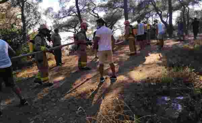 Heybeliada'daki Orman Yangını Kontrol Altına Alındı: 3 Kişi Gözaltında