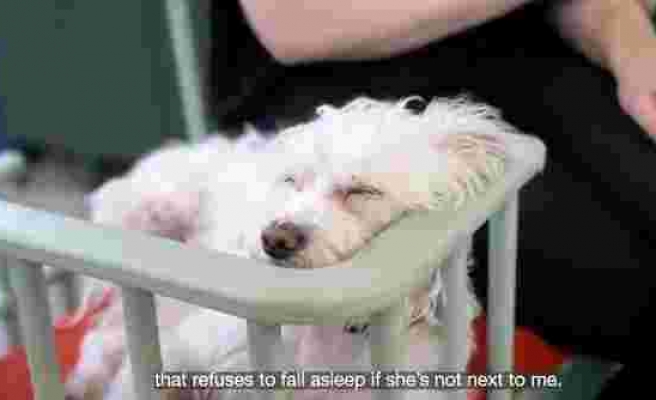 İcatların Kraliçesi Simone Giertz'den Aşırı Faydalı İcat: Dostlarının Yanında Oturmak İsteyen Köpek Sandalyesi