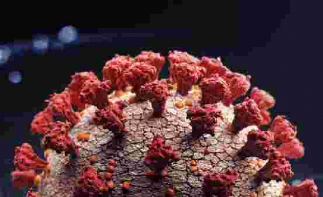 İngiltere'ye de Sıçradı: 2 Kişide Koronavirüsün Yeni Mutasyonu Omicron Tespit Edildi