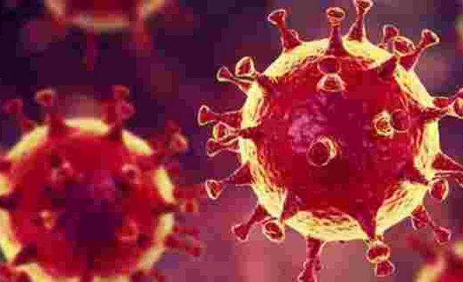 İran’da koronavirüs kaynaklı rekor ölüm