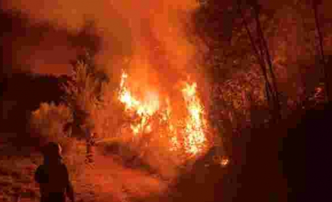 İspanya'da orman yangını: 8 yerleşim yerinde tahliyeler başladı