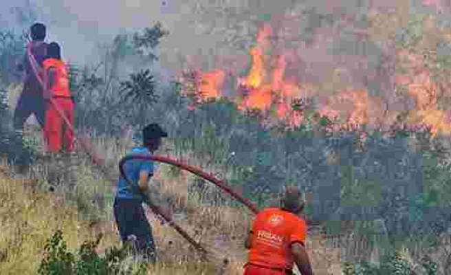 Kahramanmaraş’ta 10 hektar orman zarar gördü