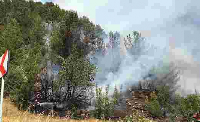 Kahramanmaraş’ta orman yangını 7 hektar alan zarar gördü