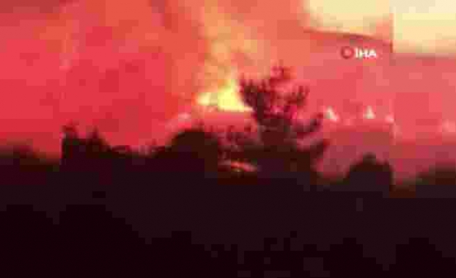 Karaburun’da ormanlık alan alev alev yanıyor