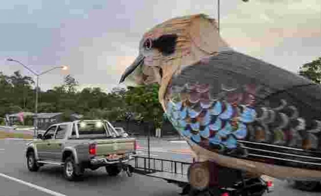 Karantina Altındayken Heybetli ve Gülen Kookaburra Kuşu Yapan Adam